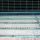 Image for article titled 10 Hidden Details in Your City and What They Mean